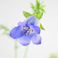 Flor Artificial de Seda Campanula con 10 Campanas, Atractiva, para Decoración de Interiores en Hoteles, Salones de Banquetes, Vestíbulos, Tiendas Minoristas y Áreas de Recepción