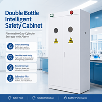 Armoires de stockage intelligentes pour bouteilles de gaz inflammables en acier, à double compartiment, avec alarme, directement de l'usine