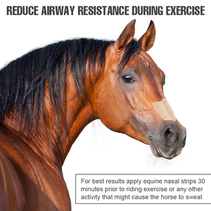 Standard Hautfarbe Equine Nasen streifen für die Tier pflege - Product Image 5