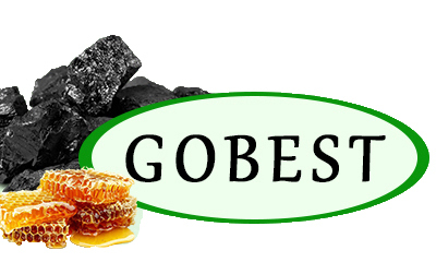 Shenzhen Gobest Biotechnology Co., Ltd. logo