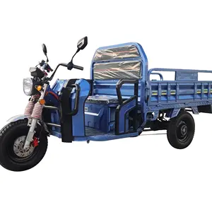EEC Electric Cargo Car Three-Wheel Truck Trike Tricycle Cheap Price Factory Manufacturer