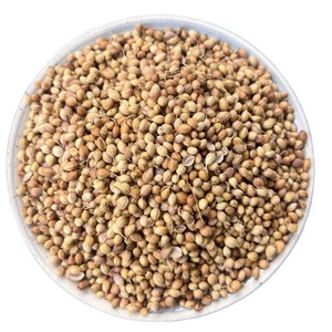 Graines <span class=keywords><strong>de</strong></span> coriandre entières <span class=keywords><strong>de</strong></span> qualité supérieure, 99 % nettoyées à la machine, épices et herbes naturelles séchées pour l'exportation en gros, prix <span class=keywords><strong>d</strong></span>'usine ZZH - Product Image 1