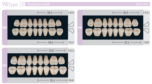 Dents artificielles en acrylique dur Fei Ying, ensemble complet de dents en résine acrylique pour prothèses complètes et partielles - Product Image 5