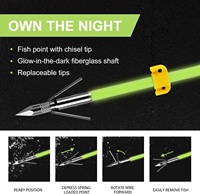 Lot de 6 flèches de pêche à l'arc de 32 pouces avec pointes lumineuses et glissières de sécurité pour la pêche à l'arc et la chasse