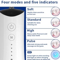Hydropulseur dentaire portable en plastique étanche IPX7 pour le nettoyage des dents à domicile et en voyage, OEM/ODM, vente en gros à prix abordable