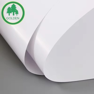 Papel de Arte C2S 250gsm, Papel de Arte Estucado C2S, Papel de Arte con Recubrimiento Brillante, Papel de Arte con Recubrimiento Mate - Product Image 4