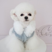 Rose mignon animal de compagnie automne hiver amoureux vêtements chaud chien robe et gilet