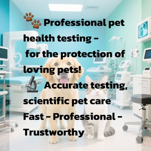 <span class=keywords><strong>Feline</strong></span> <span class=keywords><strong>fiv</strong></span> AB/felv Ag/ Giardia kháng nguyên Combo nhanh chóng Kit kiểm tra cho thú y sử dụng - Product Image 3