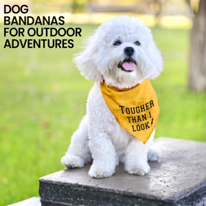 Bandana pour chien ajustable unisexe, mouchoir triangle, bavoir jaune imprimé «Born Run», accessoire de vêtements pour animaux de compagnie lavable et mignon - Product Image 4