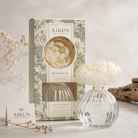 Diffuseur d'ambiance personnalisé AIKUN, parfum sur mesure, luxe premium, logo gravé personnalisé, pour salon de beauté