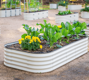 Grand <span class=keywords><strong>bac</strong></span> à plantes d'extérieur surélevé, jardinière en métal surélevée pour la plantation de légumes et de fleurs en extérieur - Product Image 4