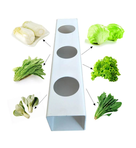 Petit tuyau carré en PVC de qualité alimentaire pour hydroponie, film plastique blanc à bas prix, économie <span class=keywords><strong>d</strong></span>'<span class=keywords><strong>eau</strong></span> pour la culture des plantes agricoles, <span class=keywords><strong>laitue</strong></span> - Product Image 4