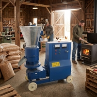 Machine à granulés de bois et de sciure de bois biomasse 300-400 kg/h pour poêle à granulés de bois et cheminée