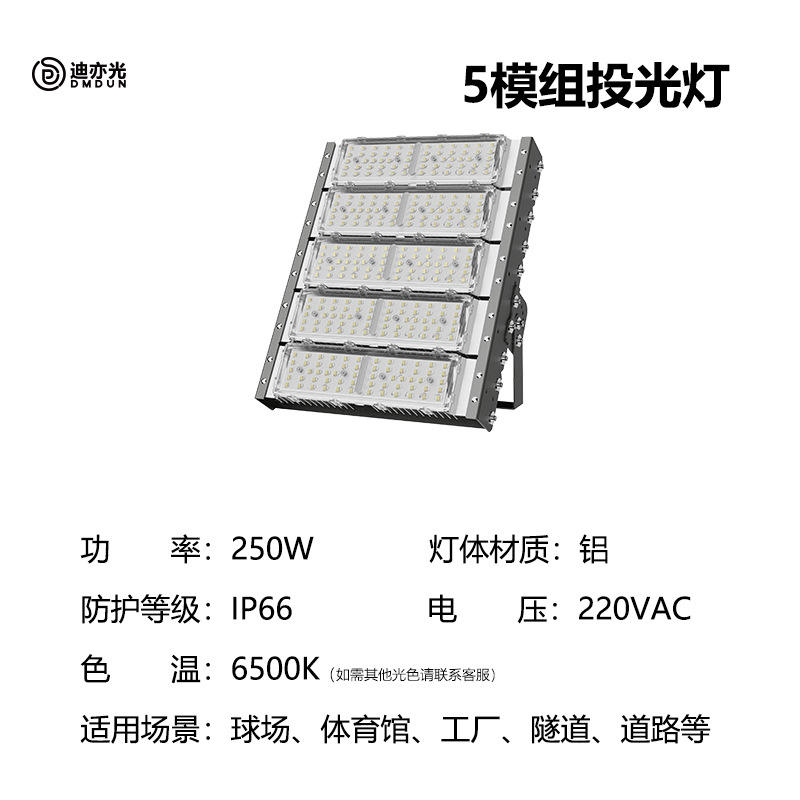 250W-สีขาว 6500K