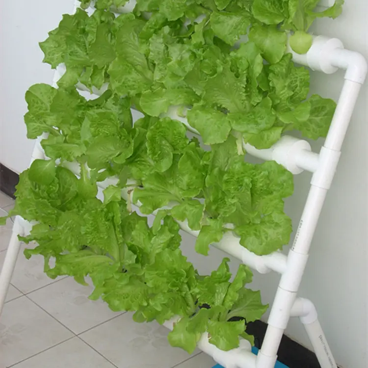 Huis Tuin Verticale Groeien Kit Indoor Grow Systeem Hydrocultuur Diy Aeroponic Hydrocultuur Systemen