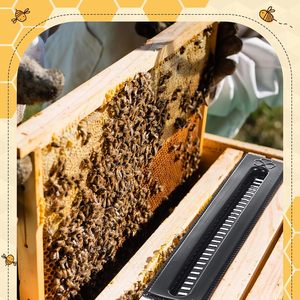 <strong>Small</strong> <strong>Hive</strong> <strong>Beetle</strong> Trap Plastic <strong>Beetle</strong> Traps for Bee <strong>Hives</strong> Beekeeping Tools - Product Image 5