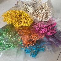 Fleurs de Gypsophile Séchées Blanches 120g, Branches de Gypsophile Réelles pour Centres de Table de Mariage et Décoration Intérieure