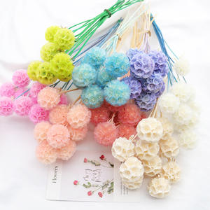 Flores secas de alta calidad y planes molino de viento fruta combretocarpus <span class=keywords><strong>Scabiosa</strong></span> seca conservada para la decoración del hogar de la boda - Product Image 1