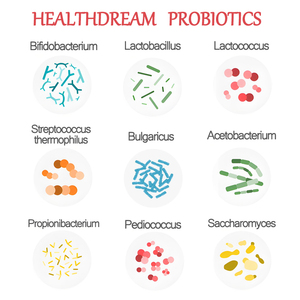 Giá thấp đông khô cao Bifidobacterium animalis bột 10B Probiotics - Product Image 3