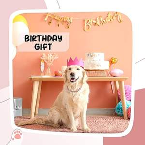 Vente en gros de collier pour chien à chaîne en or Quincaillerie pour collier pour chien <span class=keywords><strong>Pitbull</strong></span> à maillons cubains en acier inoxydable robuste - Product Image 4