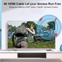 Câble HDMI vers HDMI 2.0 mâle-mâle 10M 5M 3M 10FT 19+1 2.0V 4K 60Hz UHD Ultra HD HDCP 2.2 pour HDTV, ordinateur portable, PS5