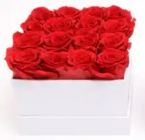 Rosas en caja de corazón cuadrado redondo, Logo personalizado inmortal Infinity Eternal estabilizado para siempre
