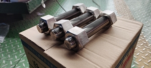 1.4520 1.4511 1.4523 1.4521 1.4105 1.4113 1.4513 thép không gỉ vít Nut M64 nặng Hex NUT - Product Image 2