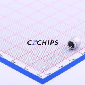 Condensador Sólido ORZ101M1Cbk-0606, Componente de Orificio Pasante (THT), D6.3xL6mm 100uF 20% 16V 2.49A100kHz - Product Image 2