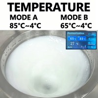 Pasteurisateur Commercial 3-en-1 en Acier Inoxydable WILK 62L pour Lait Frais, Garantie 4 Ans, 2500W, Fonctionnement Automatique, Origine Chine