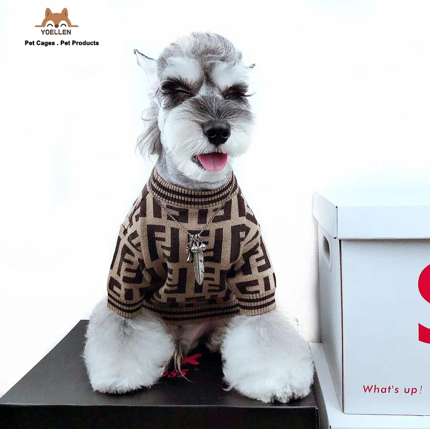 YOELLEN Wholesale hot selling fashion cat small dog apparel winter sweater luxury designer brand dog pet clothes