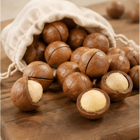 High-quality Shelled Australian Nuts, Food-grade Unprocessed OEM Production, Private Label, Grocery Retailers and Wholesalers