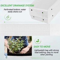 Landbouwkassen Zwart-witte plastic kweekzakken 1 2 3 5 gallon groenteplant kas herbruikbare hydrocultuur kweekzakken