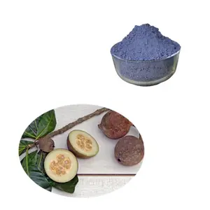 Заводская поставка, экстракт фруктов Genipa America, порошок Huito голубого цвета высокого качества