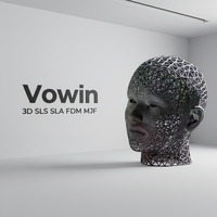 Service d'impression 3D, personnalisation de modèles, résine SLA, nylon, métal, peinture de moules, usinage CNC, usine prenant en charge les formats STL/STEP/Iges/Xtp