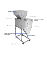 Machine de pesage et de remplissage automatique modèle LT-W20C pour chips de bananes, chips de pommes de terre, biscuits, fruits secs