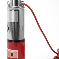 Pompe à Eau Solaire Submersible pour Puits Profond à Haute Pression en Acier Inoxydable 48/60V CC à Balais, Logo Personnalisé, 1 CV, Vente en Gros