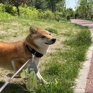 Bolsa para excrementos de mascotas, dispensador portátil de bolsas para excrementos, clip para bolsas de basura, venta directa de fábrica, venta al por mayor - Product Image 3