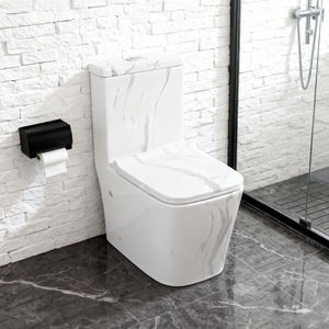 Inodoro de Cerámica sin Borde, Cuadrado, con Descarga por Gravedad, Doble Descarga, de Una Pieza, para Baño - Product Image 1