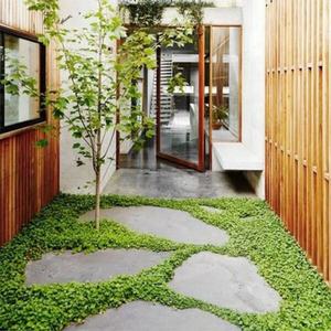 Natürlicher Fluss stein Flags tone Outdoor Garten Landschaft Pflasters tein für Gras Rasen Park Pfade Gehweg Tritts teine - Product Image 2