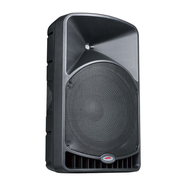 12 Inch Passive Professional Speaker