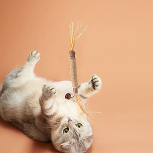 <b>Cat</b> <b>Chew</b> Stick Eco Friendly Sisal Stick Teeth Cleaning <b>Cat</b> Stick Feather Decorated <b>cat</b> <b>Toy</b> Stress Relief <b>Cat</b> Sisal <b>cat</b> Stick - Product Image 2