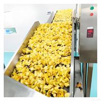 Automatische Franse aardappelchips friteuse machine roestvrij staal hoge efficiëntie laag geluidsniveau productielijn