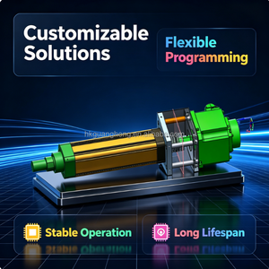 Cilindro de Émbolo Eléctrico Personalizable con Servomotor para un Funcionamiento Estable y Larga Vida Útil - Product Image 1