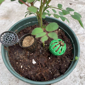 Boîte d'engrais pour plantes en plastique <span class=keywords><strong>Bonsai</strong></span> Tool Engrais Cover Basket Box - Product Image 5