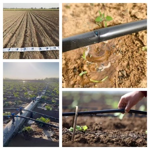 Tubo Perforato in PE Leggero, Resistente alla Corrosione, Anti-Intasamento, per <span class=keywords><strong>Irrigazione</strong></span> a Goccia in Giardino - Product Image 4
