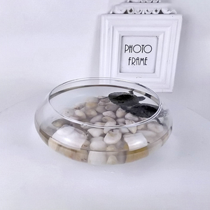 Usine Petit Verre Pour Animaux De Compagnie Bol de poisson Tortue Réservoir D'aquarium - Product Image 1