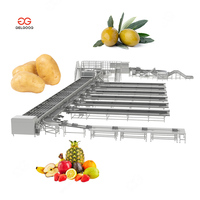 Zhengzhou Fruit- en Groente Opslag Zoete Aardappel Optische Sorteer- en Verpakkingsmachine Olijven Sorteren op Kleur Knoflook