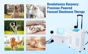 10 Bar Electromagnetic Focus <strong>Shock</strong> Wave Frequency Veterinary Focus Shockwave for <strong>Pain</strong> <strong>Relieve</strong> Scraping Apparatus - Product Image 6