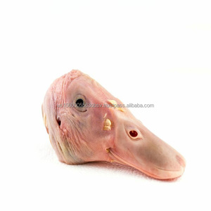 Distributeur de têtes de canard congelées Vente de têtes de canard congelées - Product Image 4