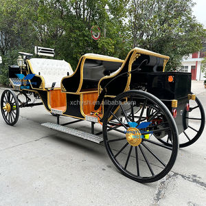 Carruaje de caballos eléctrico para boda, uso turístico, precio bajo, alta calidad, Color personalizado, Batería de 60V 80A - Product Image 5